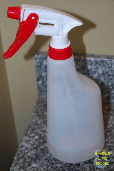 Spray bottle